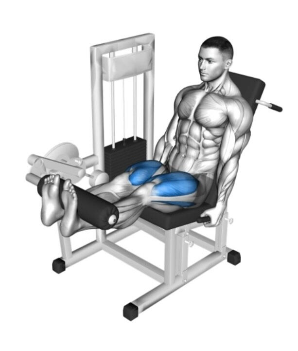 BASEGYM24自慢のマシン、レッグエクステンションのご紹