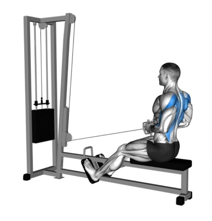 BAsEGYM24にあるこのマシンの最大の特徴は、背中のスト