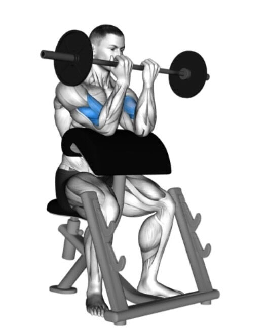 夢に見た強く美しい二の腕、そして際立つ力こぶ💪